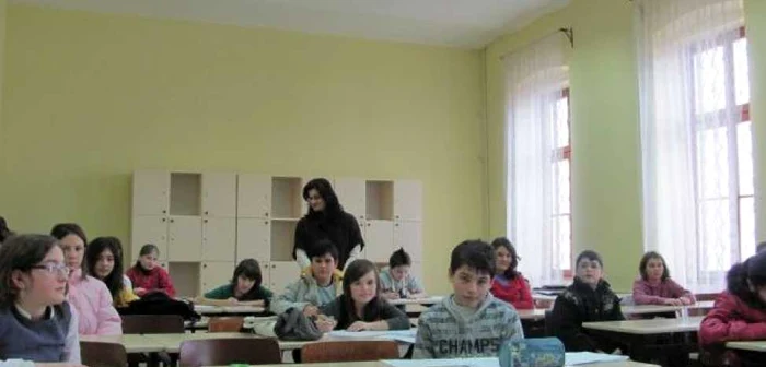 Inspecţile vizează şapte arii tematice