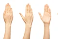 shutterstock 2117244455 jpg
