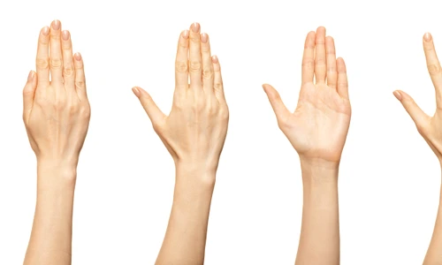 shutterstock 2117244455 jpg