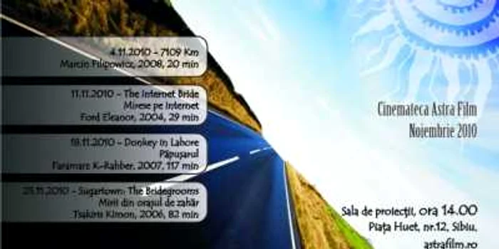 Afişul filmului „Mirese pe Internet”