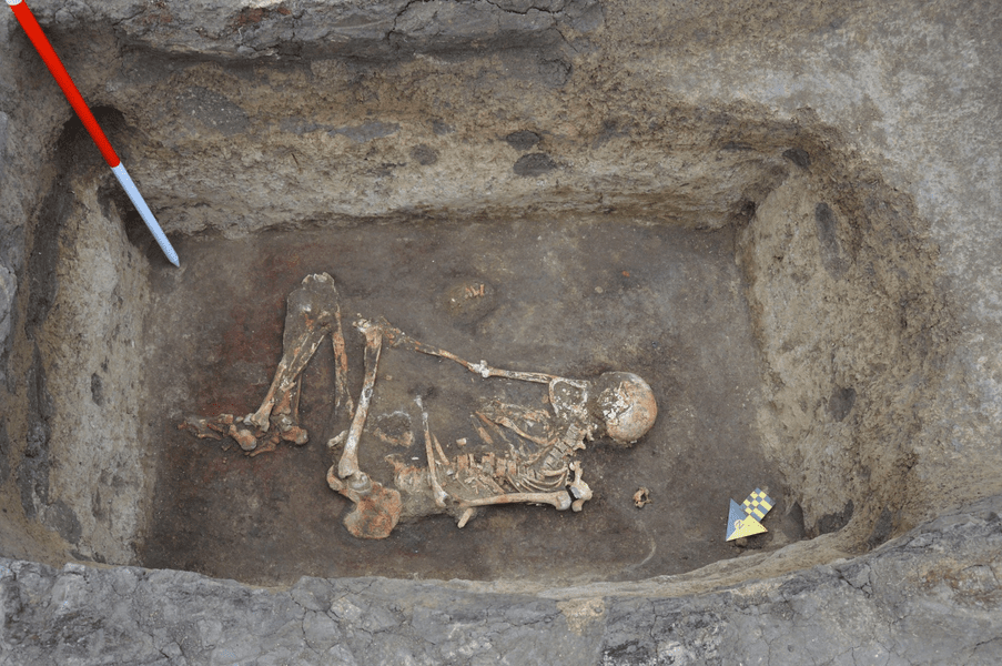 Schelet uman de peste 3.000 de ani descoperit în urma unor săpături arheologice, în județul Botoșani