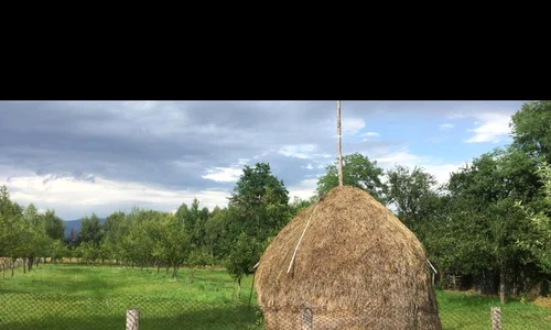 Muncile tatălui jpeg