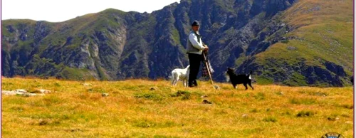 valea jiului foto racky constantin