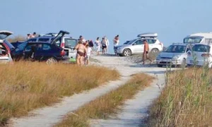 Zonele Vadu şi Corbu au statut de arie protejată jpeg