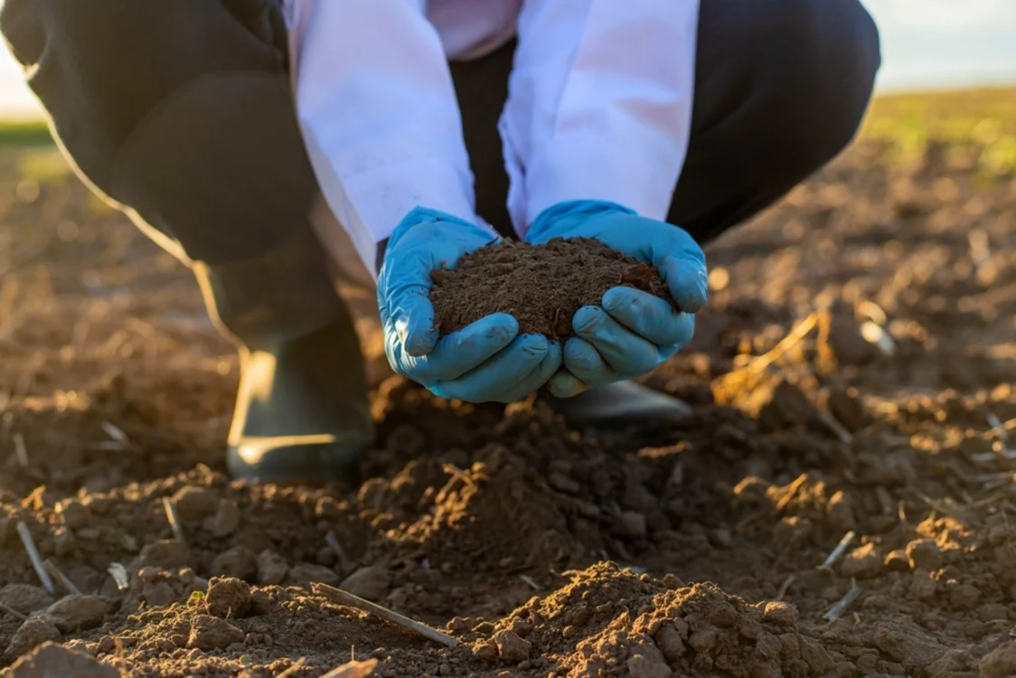 agricultură / Foto: Shutterstock