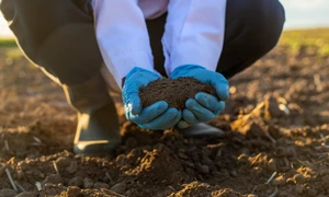 agricultura, foto Shutterstock jpg