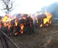 incendiu tanacu