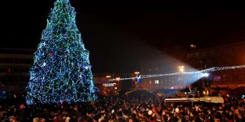 brad craciun baia mare