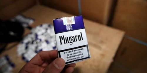 tigari