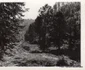 Căi ferate forestiere din Valea Jiului Anul 1956 Foto Richard Marschalko (13) jpg