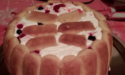 Tort Diplomat 2 jpeg