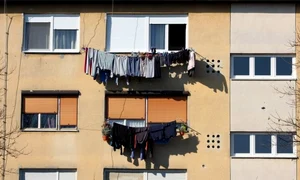 rufe intinse afara jpeg