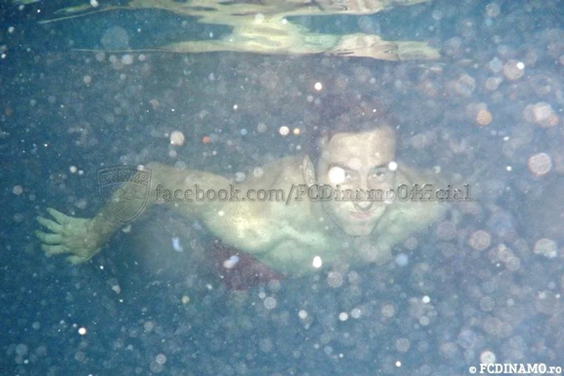 Dinamoviştii la piscină
