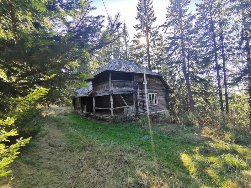 Pădure plină de gunoaie din Rânca, transformată în traseu montan FOTO