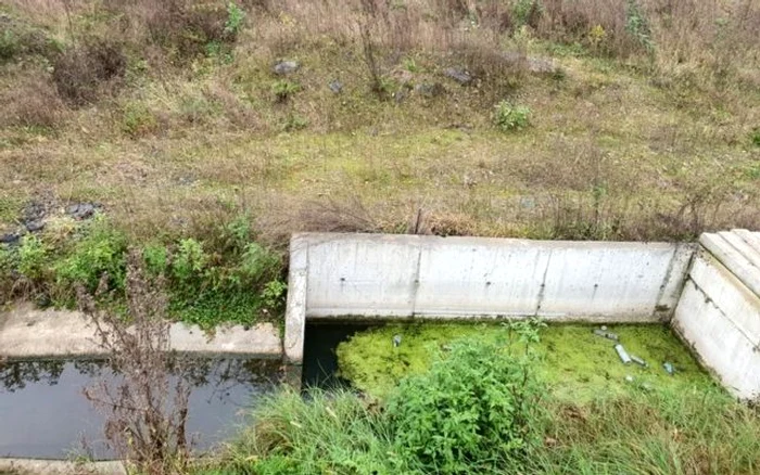 autostrada foto asociatia pro infrastructura