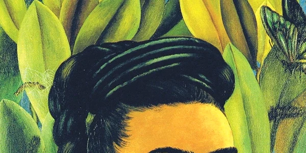 coperta carte frida