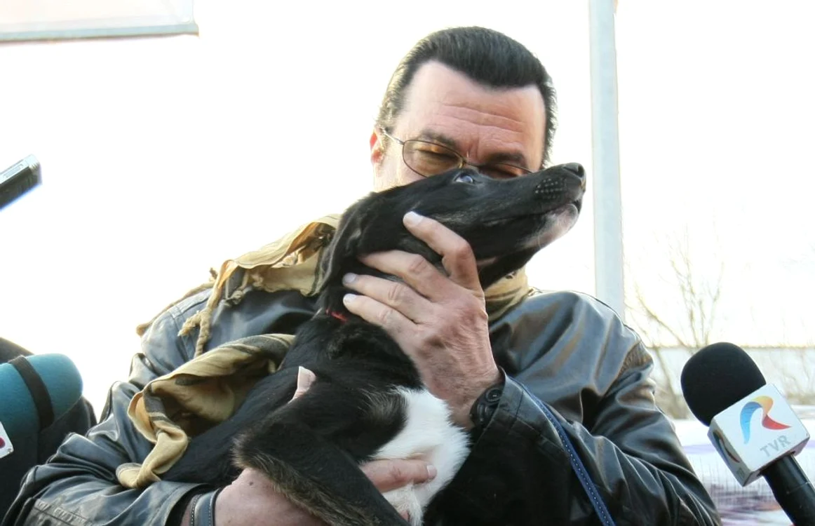 Steven Seagal a adoptat la distanţă un patruped vaccinat şi sterilizat FOTO Dorin Constanda