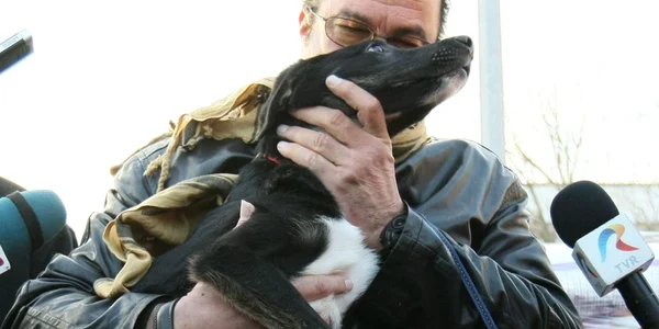 Steven Seagal adoptie caine uzunu FOTO Dorin Constanda