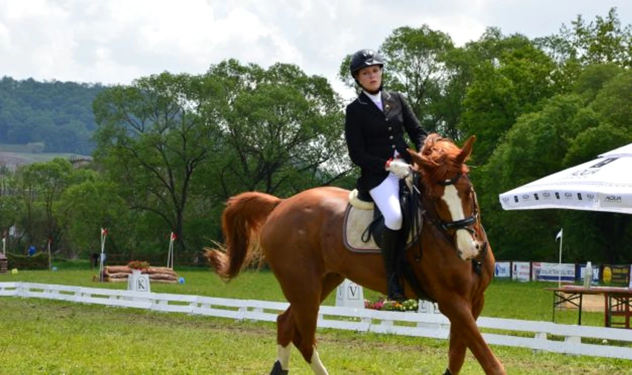 Record de înscrieri la cea de a şasea ediţie Transylvania Horse Show jpeg