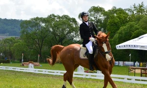 Record de înscrieri la cea de a şasea ediţie Transylvania Horse Show jpeg