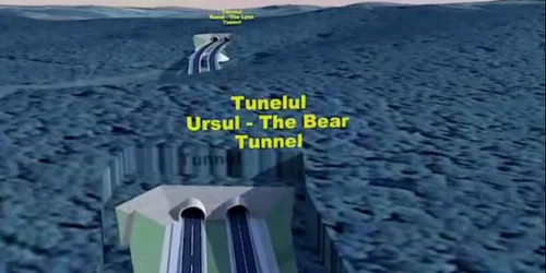 tunel pentru ursi lugoj deva `the bear”