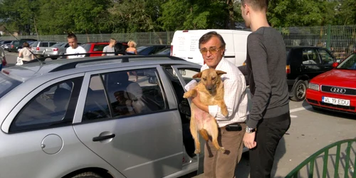 În parcarea din faţa Grădinii Zoologice din Râmnicu Vâlcea a avut loc un accident stupid (foto arhiva)