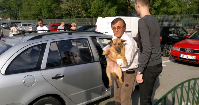 În parcarea din faţa Grădinii Zoologice din Râmnicu Vâlcea a avut loc un accident stupid (foto arhiva)