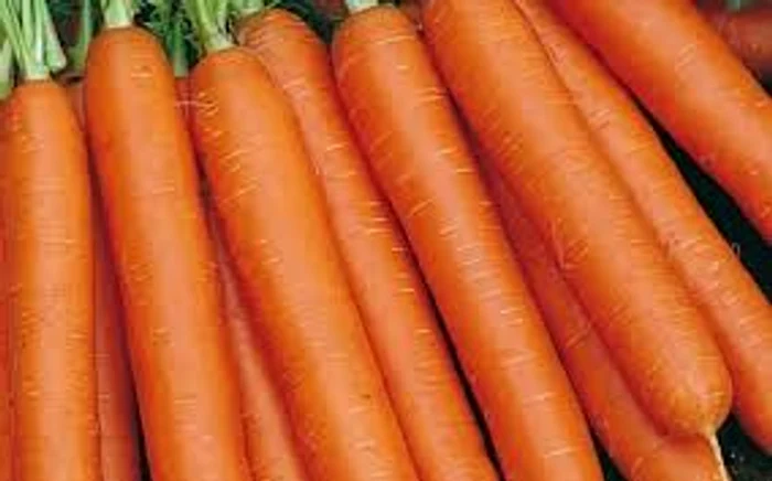 Morcovul este o legumă farmacie, benefică în zilele de post riguros Sursa foto: Adevărul.ro