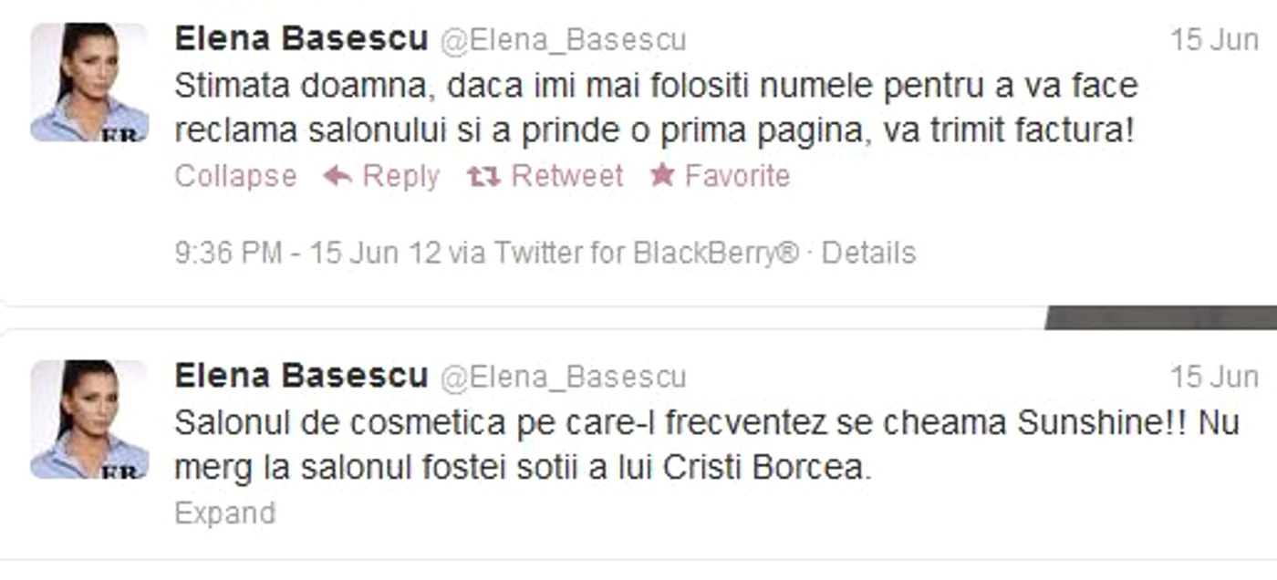 Elena Băsescu Twitter