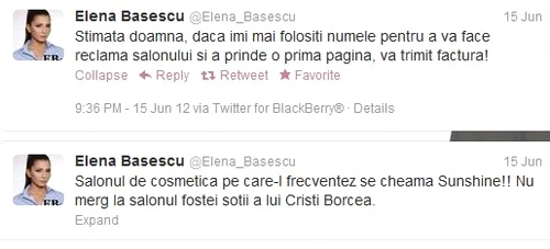 Elena Băsescu Twitter