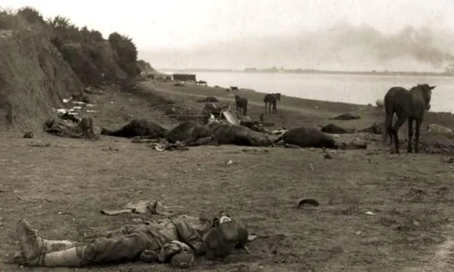 VIDEO Dezbatere „Historia“: Turtucaia, sfârşitul unei iluzii româneşti jpeg
