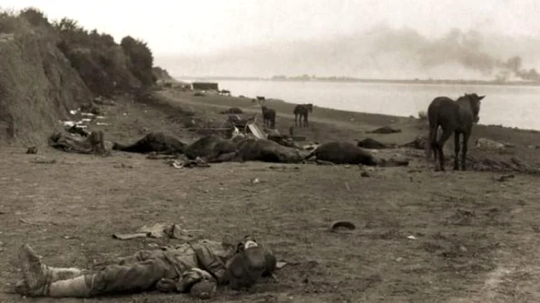 VIDEO Dezbatere „Historia“: Turtucaia, sfârşitul unei iluzii româneşti jpeg