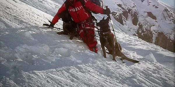 pascu