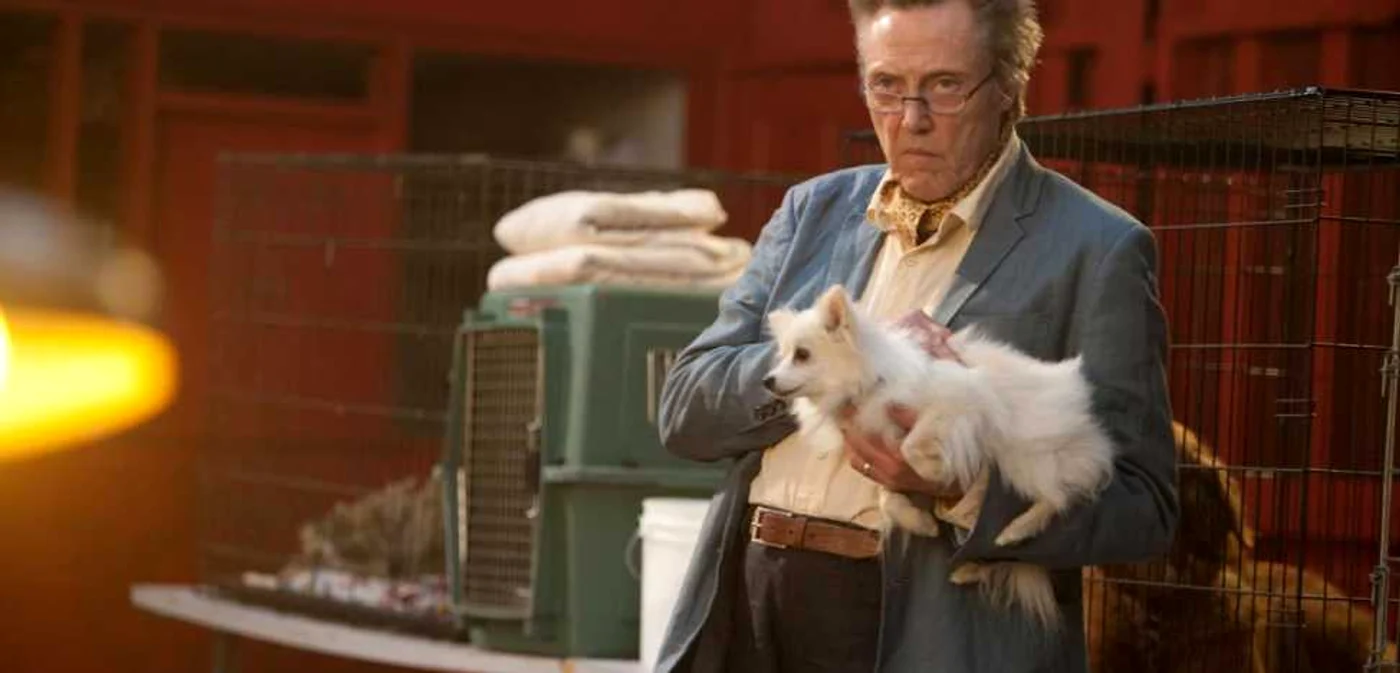 Christopher Walken în ”Şapte psihopaţi şi un câine”     FOTO RoImage