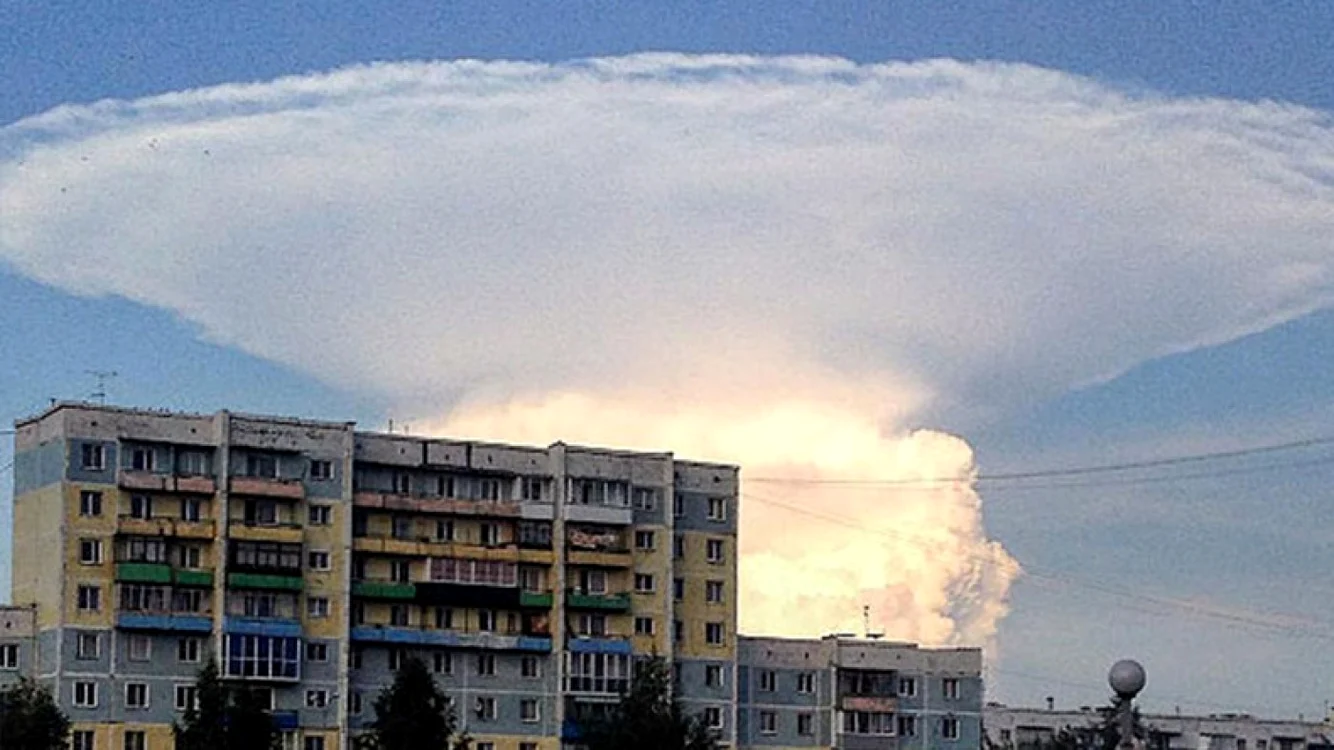 Nor ciuperca in Kemerovo, Siberia FOTO RT