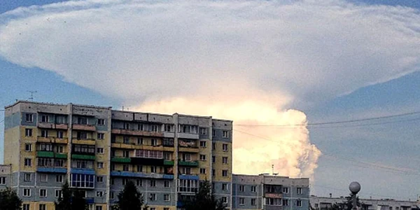 Nor ciuperca in Kemerovo
