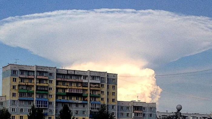 Nor ciuperca in Kemerovo, Siberia FOTO RT