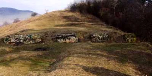 Neamţ: Revista presei locale