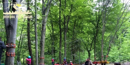 Natura Parc de la Drăguş. FOTOnaturaparcdragus.ro