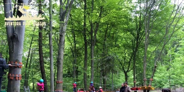 Natura Parc de la Drăguş. FOTOnaturaparcdragus.ro