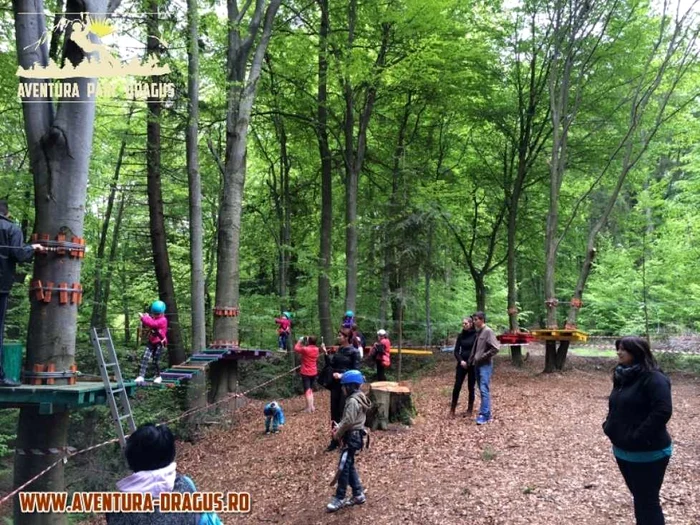 Turiştii sunt aşteptaşi la distracţie în mijlocul pădurii. FOTOaventurapracdragus.ro