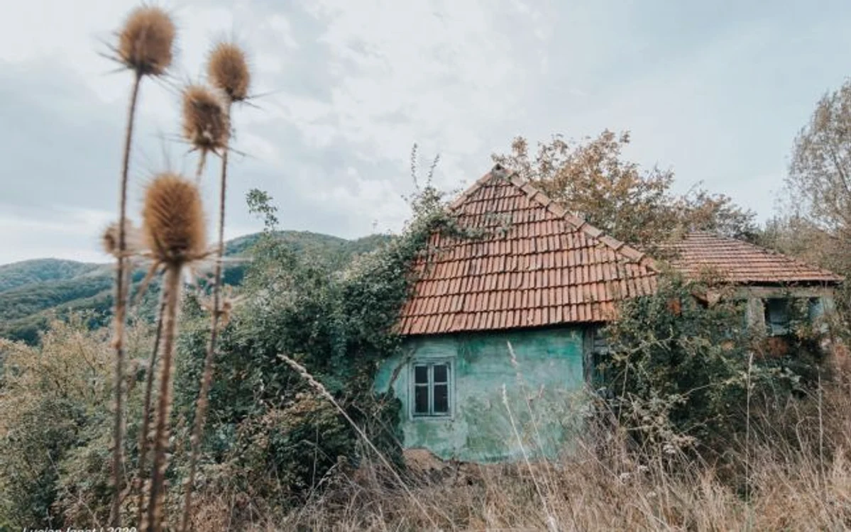 satul pustiu din padurile cincisului foto lucian ignat