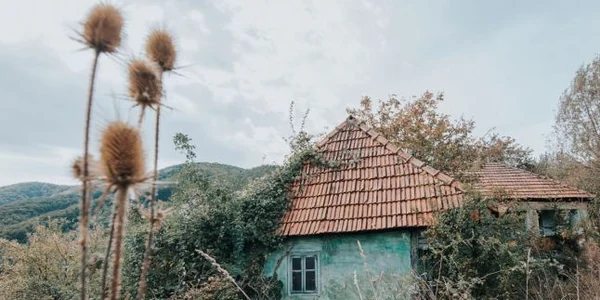satul pustiu din padurile cincisului foto lucian ignat
