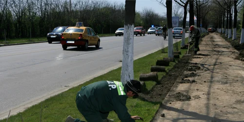 Spaţiul verde ar putea fi întreţinut de bolnavii psihic