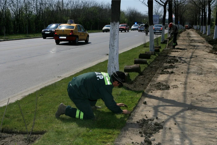 Spaţiul verde ar putea fi întreţinut de bolnavii psihic