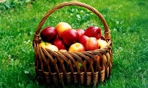 merele images 0 jpeg