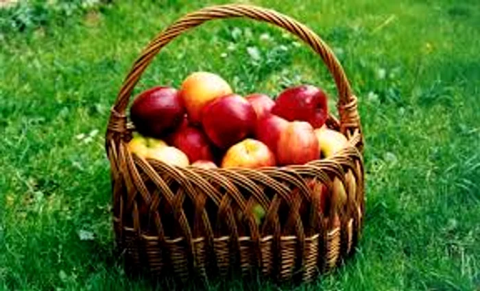 
    merele sunt fructele specifice prazniculuiSursa foto: Arhiva Click  