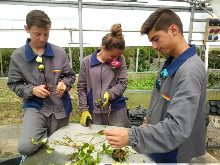 Elevii din Flămânzi la practică într-o seră de flori din Italia FOTO Liceul Flămânzi