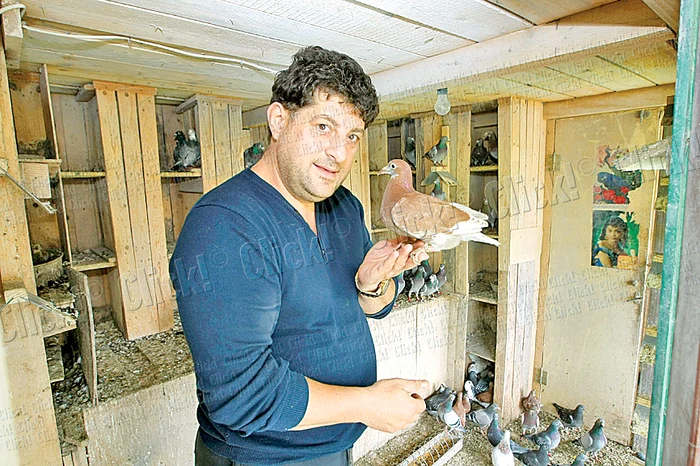 Tavi Colen munceşte zilnic câteva ore în grădină (Fotografii: Dan Bistriţeanu)