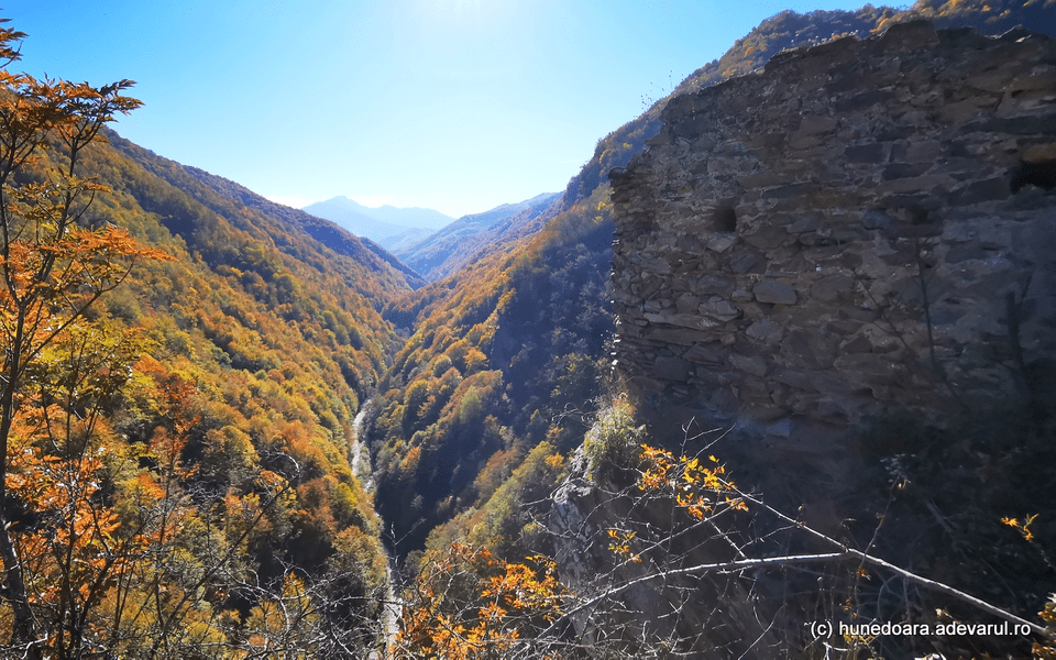 Retrocedările din Retezat au fost ilegale. Lovitură pentru austriecele care au primit 10.000 de hectare